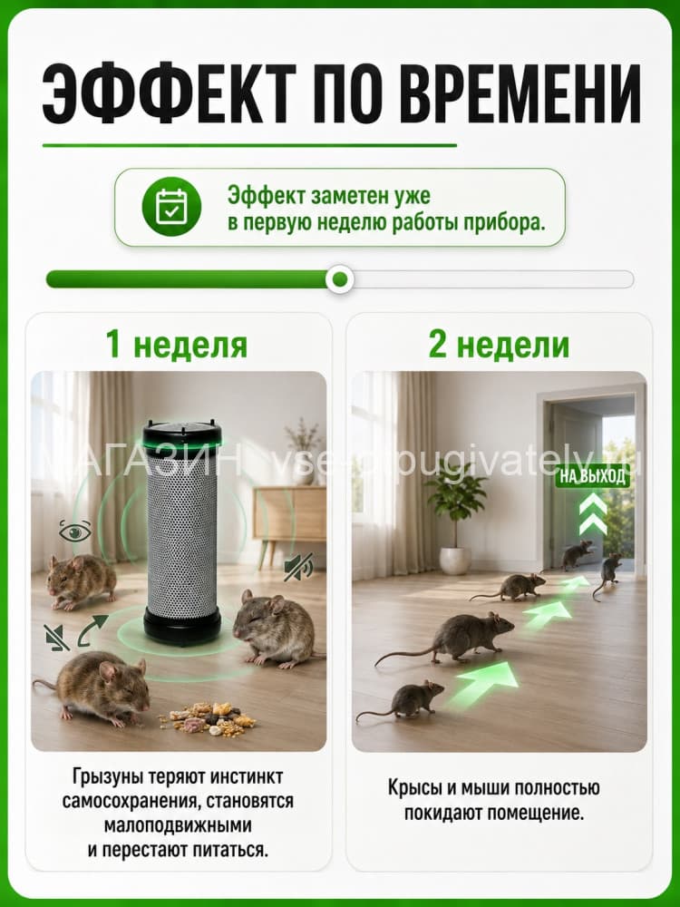 Чистон 2 ПРО - ультразвуковой отпугиватель грызунов: крыс и мышей