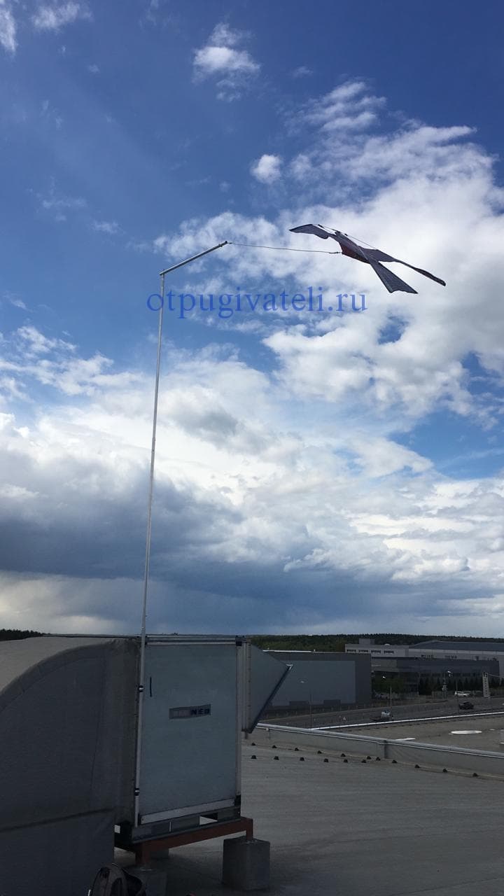 Кондор с флагштоком на объекте