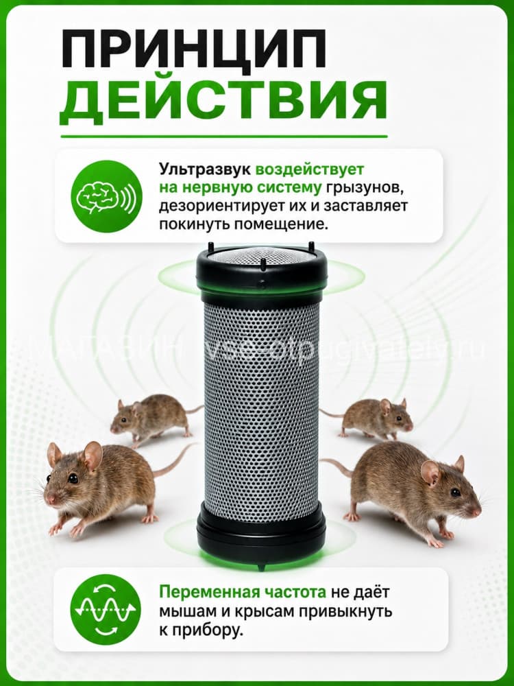 Чистон 2 ПРО - ультразвуковой отпугиватель грызунов: крыс и мышей