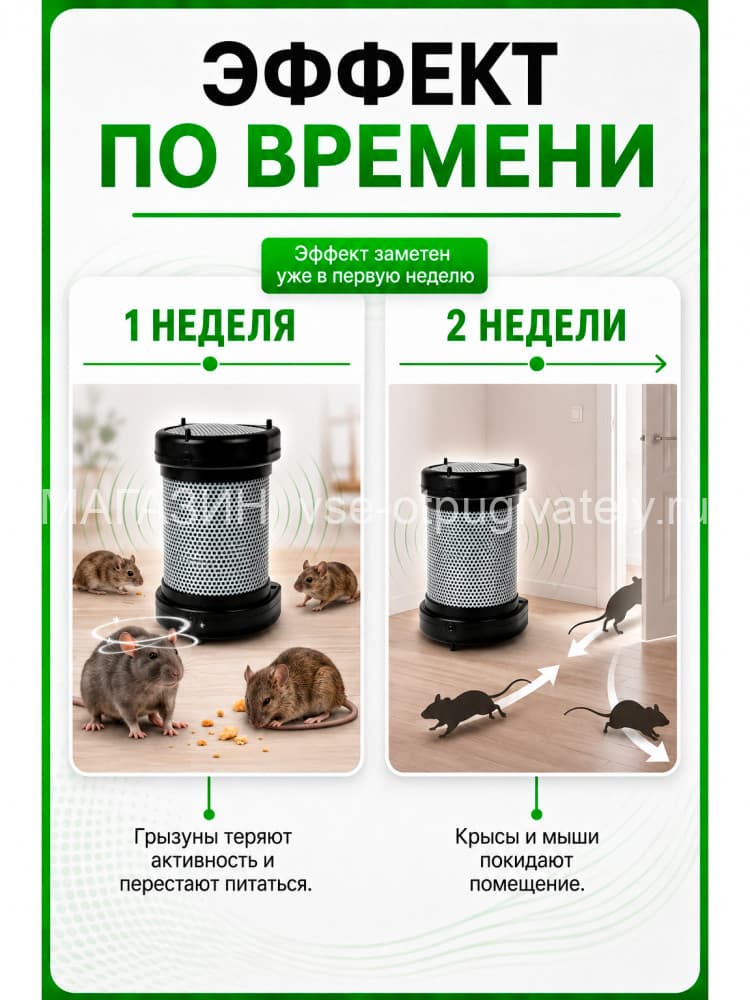 Чистон 2 - ультразвуковой отпугиватель грызунов: крыс и мышей