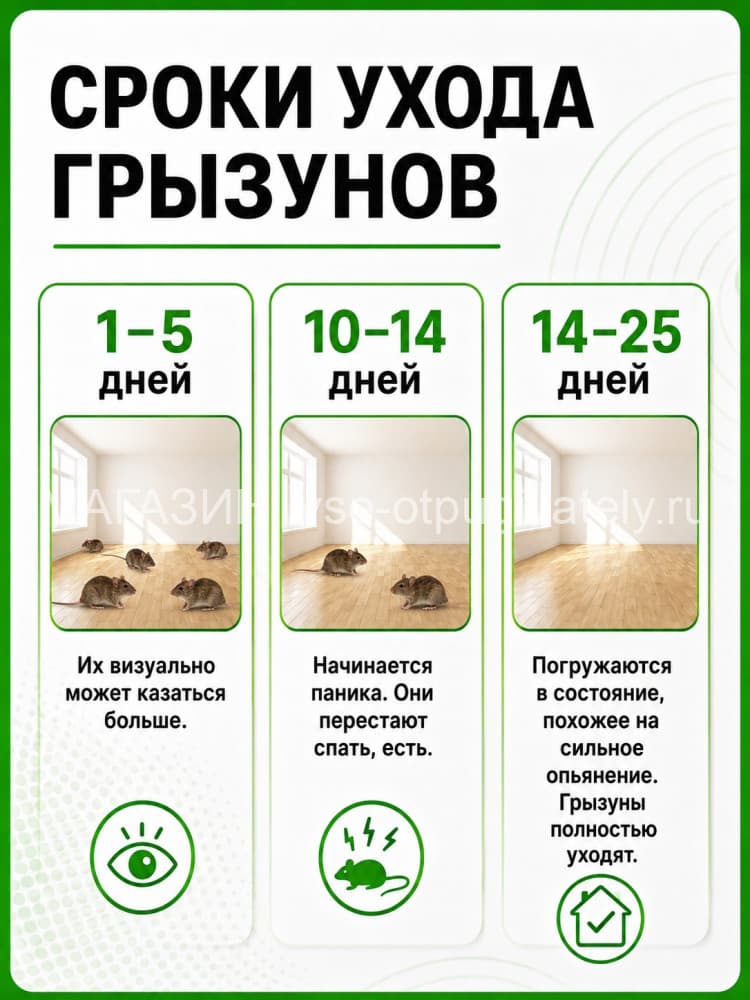 Чистон М - ультразвуковой отпугиватель грызунов, крыс и мышей