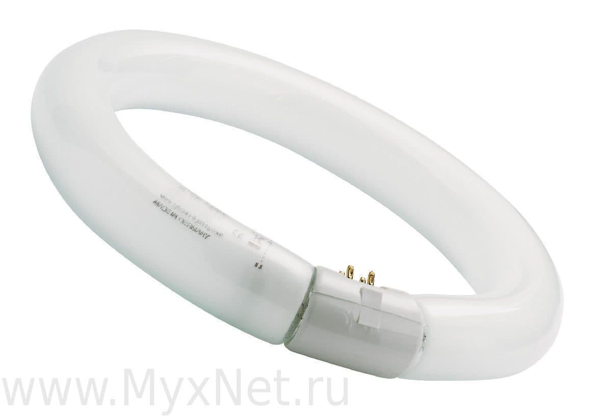 Инсектицидная лампа YUTEC Y822, 22 Вт, кольцевая, цоколь G10q — кольцевая лампа