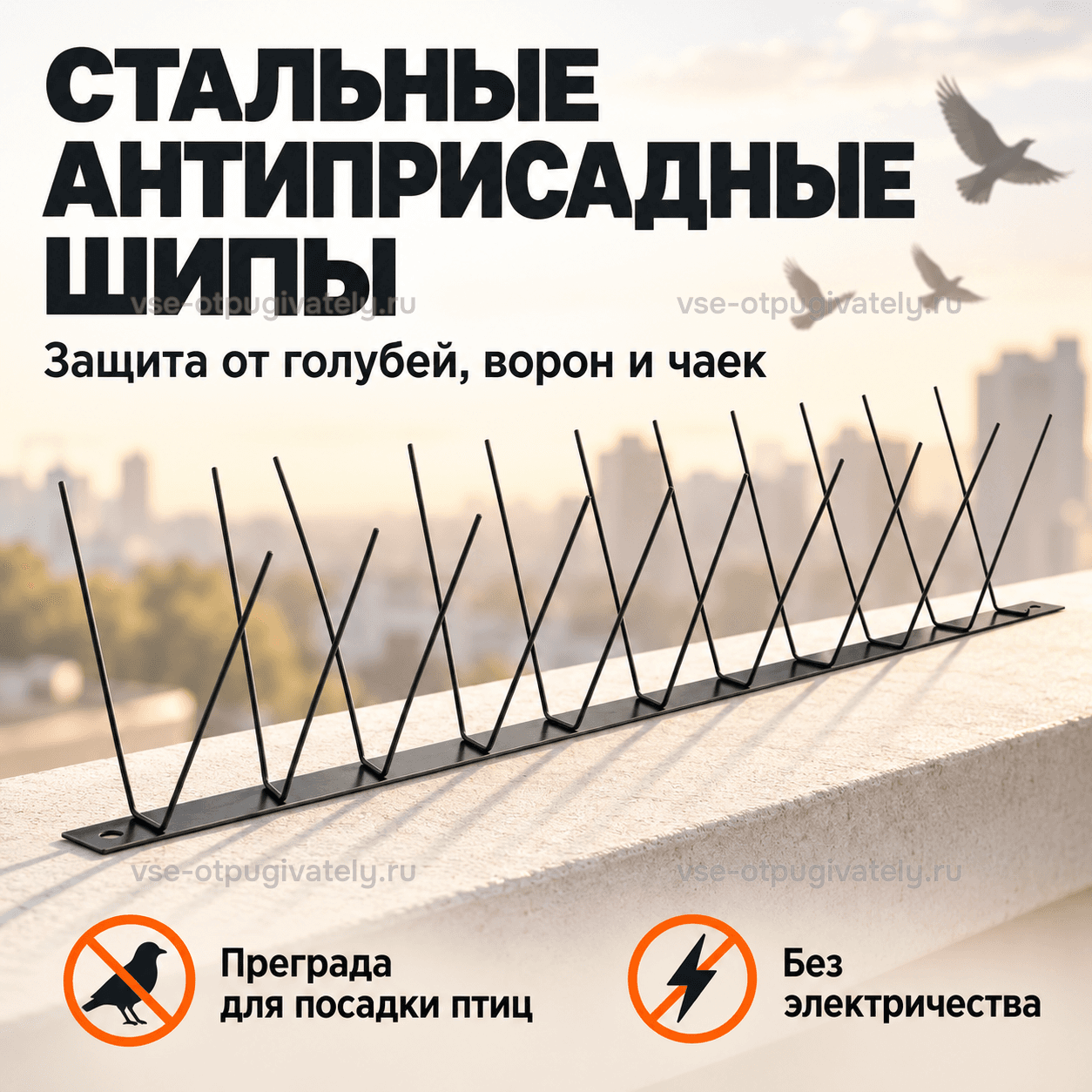 Стальные антиприсадные шипы — инфографика: секция шипов — V-образные стальные иглы на полосе-основании вдоль парапета, защита от голубей, ворон и чаек без электричества