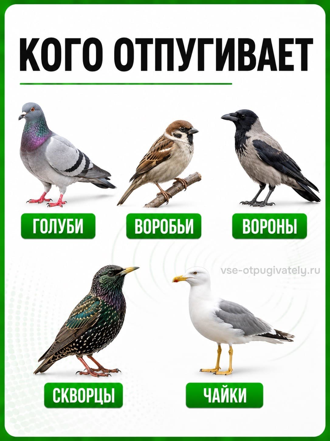 Антиприсадные шипы от птиц Jinshi 5 метров (10 шт по 50 см)