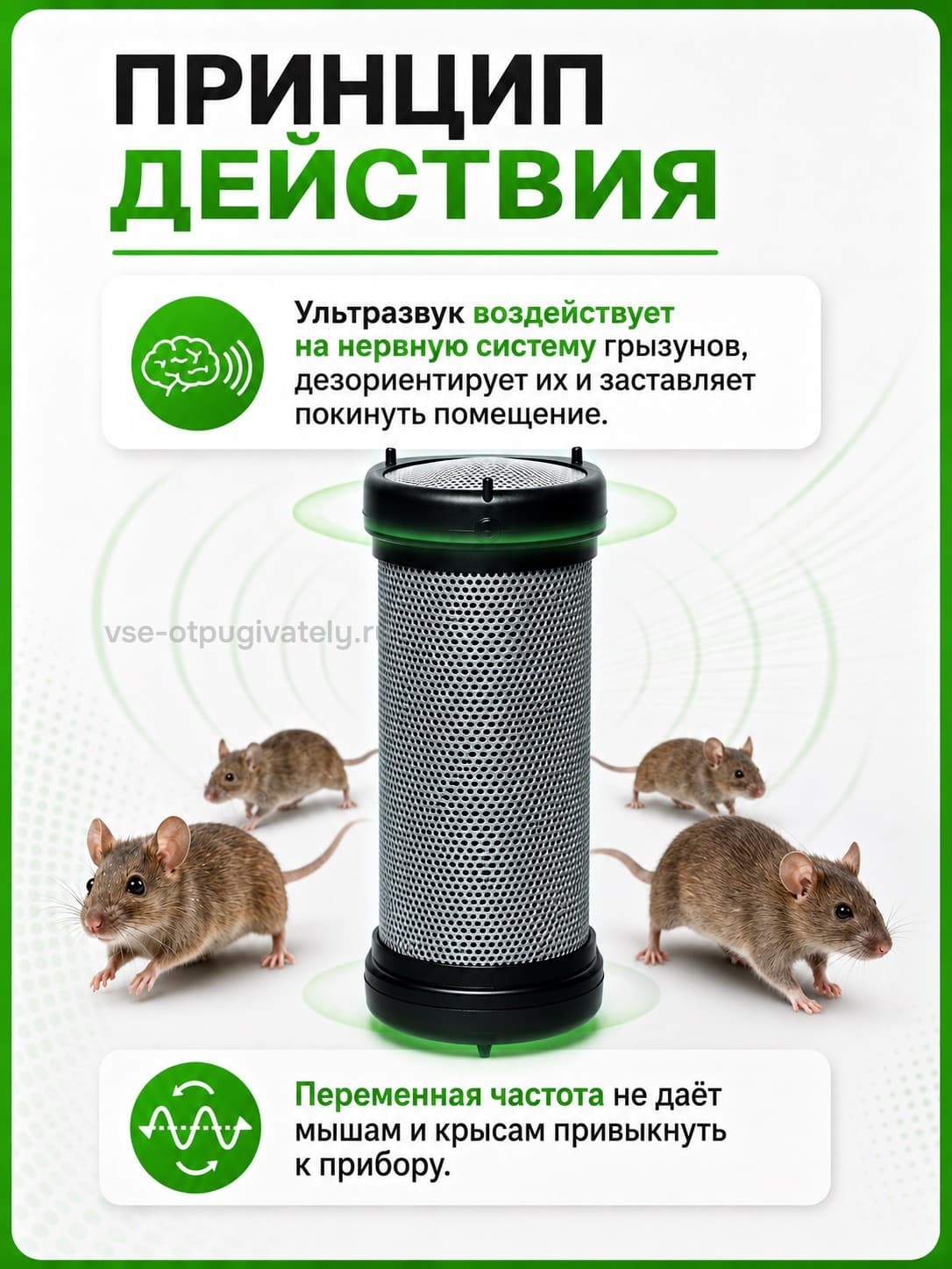 Чистон 2 ПРО - ультразвуковой отпугиватель грызунов: крыс и мышей