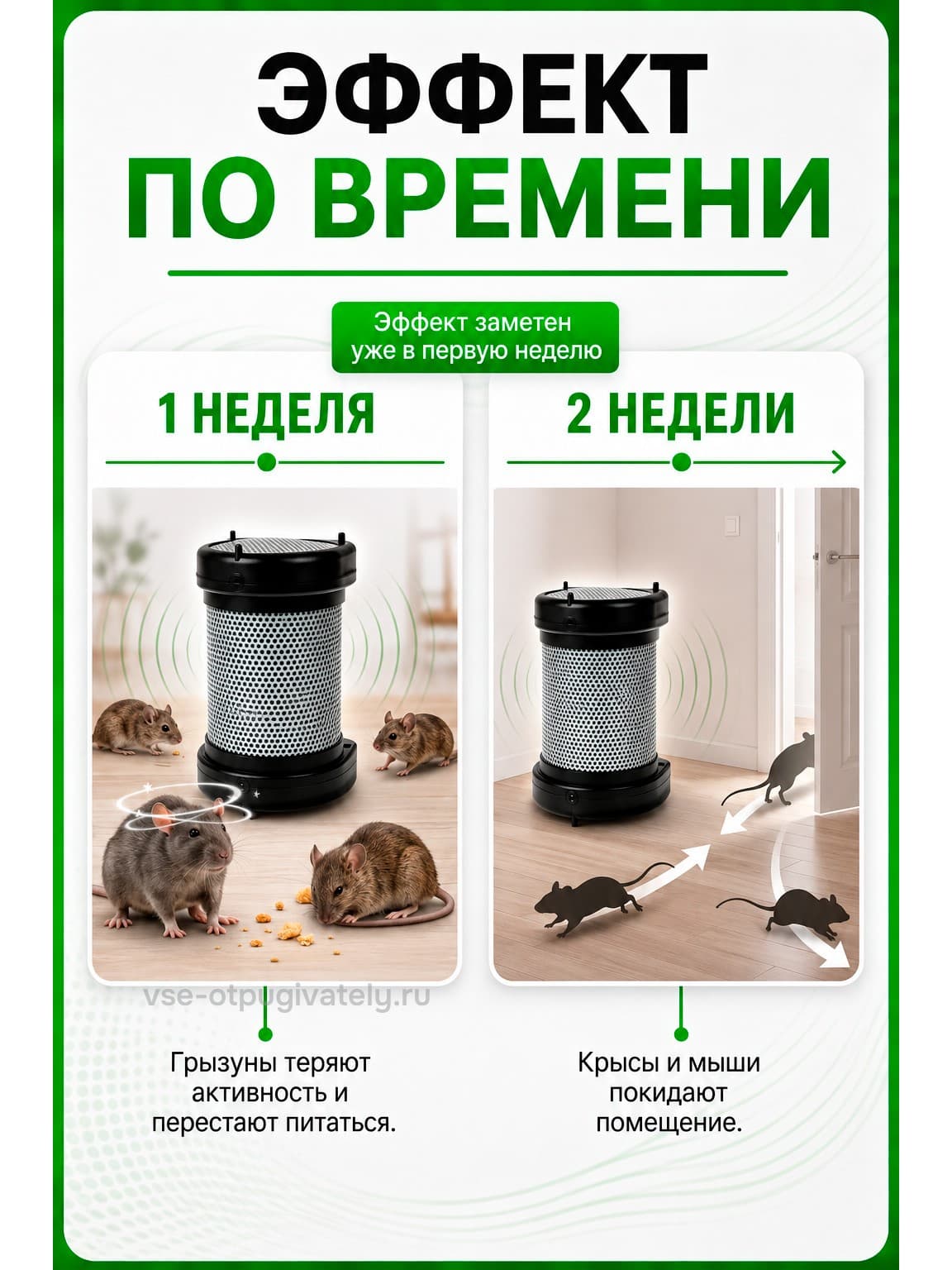 Чистон 2 - ультразвуковой отпугиватель грызунов: крыс и мышей