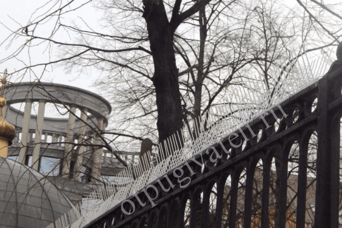 Пластиковые противоприсадные шипы на объекте
