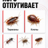 Тайфун ЛС-500 - ультразвуковой отпугиватель тараканов и прочих насекомых