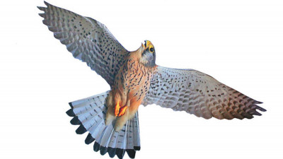 Хищник 3 (80х40 см) - визуальный отпугиватель птиц